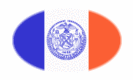 New York-Vlag als ovaal vignet