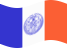 Zwaaien New York vlag statisch