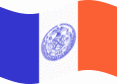 Zwaaien New York vlag statisch