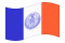 New York-Vlag zwaaien