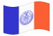 New York-Vlag zwaaien