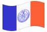 Geanimeerde vlag New York