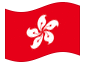 Geanimeerde vlag Hongkong