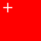 Vlag Schwyz