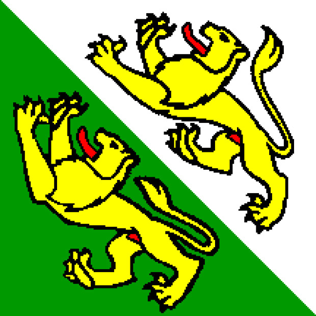 Vlag Thurgau, Vlag Thurgau