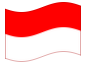 Geanimeerde vlag Salzburg (provincie)