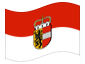 Geanimeerde vlag Salzburg (dienstvlag)