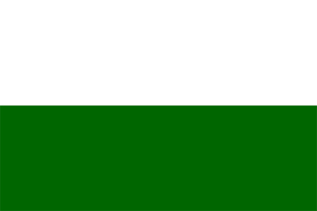 Vlag Steiermark