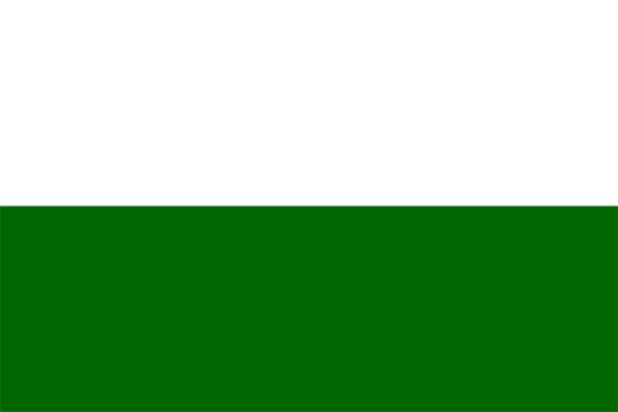 Vlag Steiermark, Vlag Steiermark