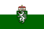 Vlag Steiermark (dienstvlag)