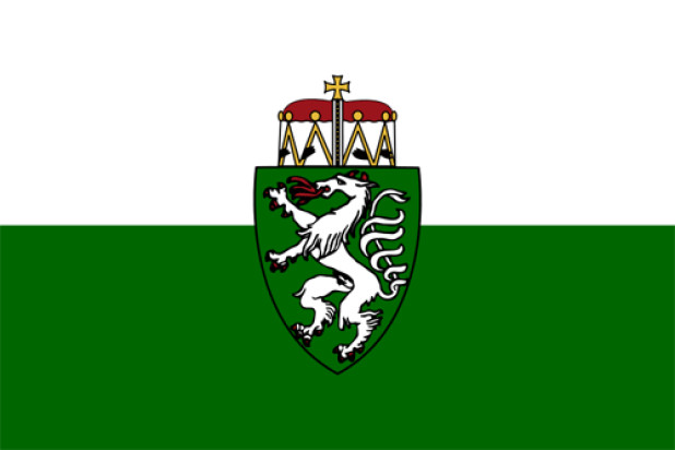 Vlag Steiermark (dienstvlag)