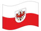 Geanimeerde vlag Tirol (dienstvlag)