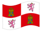 Geanimeerde vlag Castilla y León