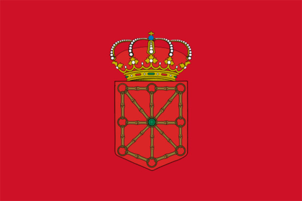 Vlag Navarra, Vlag Navarra