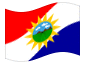 Geanimeerde vlag Yaracuy