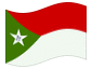 Geanimeerde vlag Trujillo
