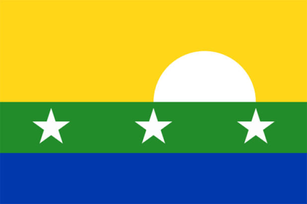 Vlag Nueva Esparta, Vlag Nueva Esparta