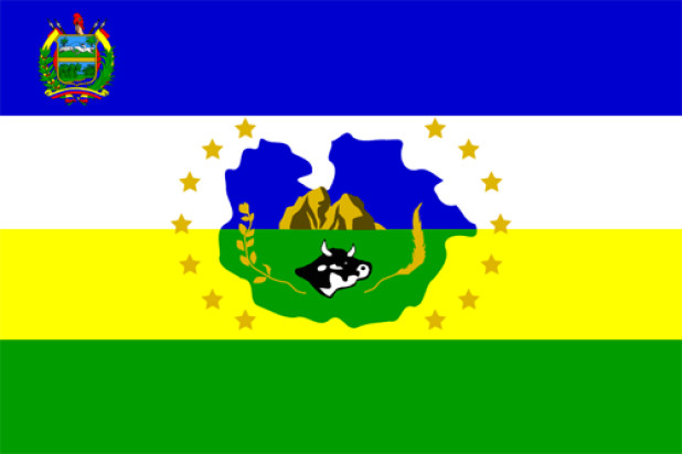 Vlag Guárico, Vlag Guárico