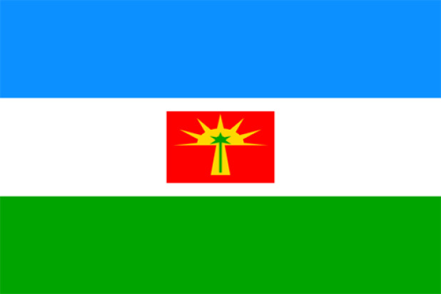 Vlag Barinas