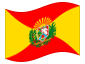 Geanimeerde vlag Aragua