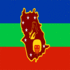 Amazonas-Vlag vierkant