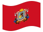 Geanimeerde vlag Caracas