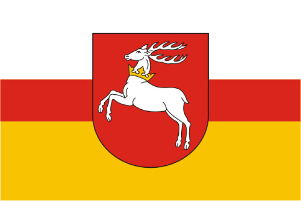 Vlag Lublin (Lubelskie)