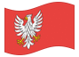 Geanimeerde vlag Mazowieckie