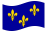 Geanimeerde vlag Île-de-France