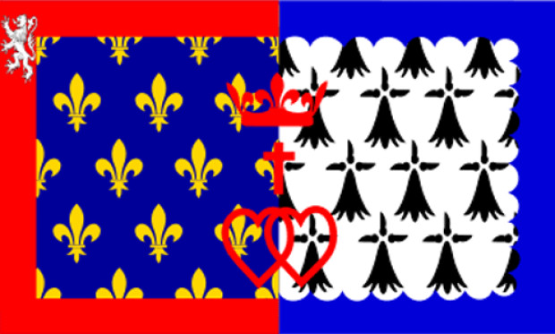 Vlag Loire, Vlag Loire