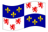 Geanimeerde vlag Picardië