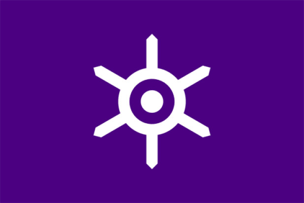 Vlag Tokyo (Stad)