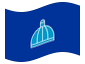 Geanimeerde vlag Durban