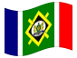 Geanimeerde vlag Johannesburg
