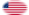 Betsy Ross (VS 1777-1795)-Vlag als ovaal vignet