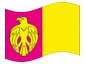 Geanimeerde vlag Kirowohrad