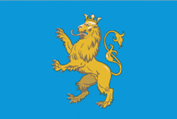 Vlag Lviv