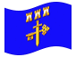 Geanimeerde vlag Ternopil