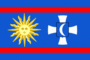 Vlag Vinnytsia