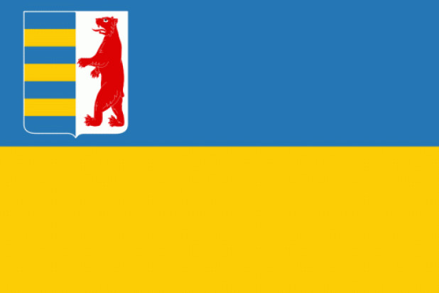 Vlag Transkarpatië