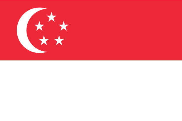 Vlag Singapore, Vlag Singapore