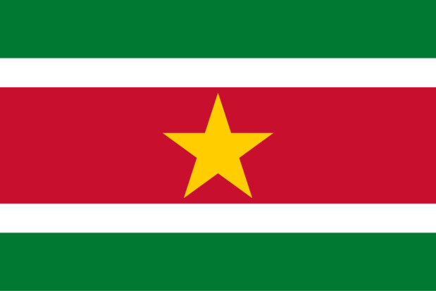 Vlag Suriname, Vlag Suriname