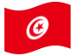 Geanimeerde vlag Tunesië