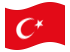 Turkije-Vlag zwaaien