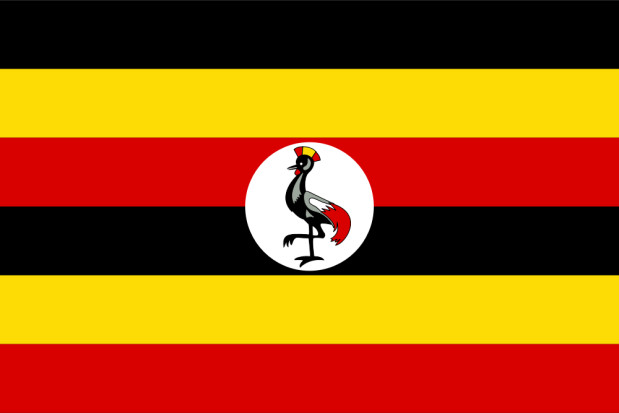 Vlag Oeganda, Vlag Oeganda