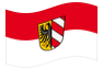 Geanimeerde vlag Neurenberg