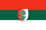 Flag graphics Augsburg