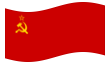 Sovjet-Unie-Vlag zwaaien