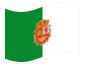 Fuerteventura-Vlag zwaaien