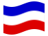 Sleeswijk-Holstein (Pruisische provincie)-Vlag zwaaien